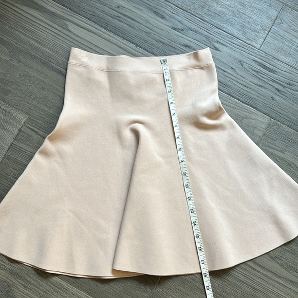 🔥BCBGMaxaria🔥 | Ingrid a-line high waisted skirt in bare pink - Picture 10 of 13